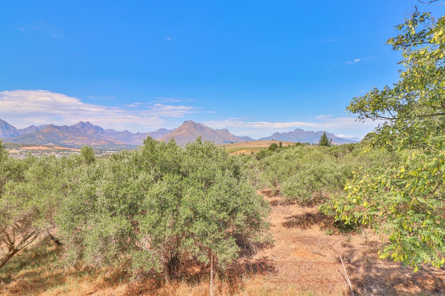 10 Bedroom Property for Sale in Stellenbosch Farms Western Cape